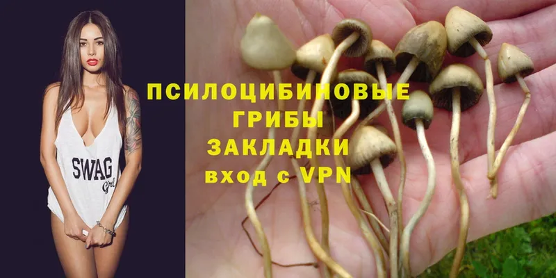 Галлюциногенные грибы Psilocybe  Безенчук 